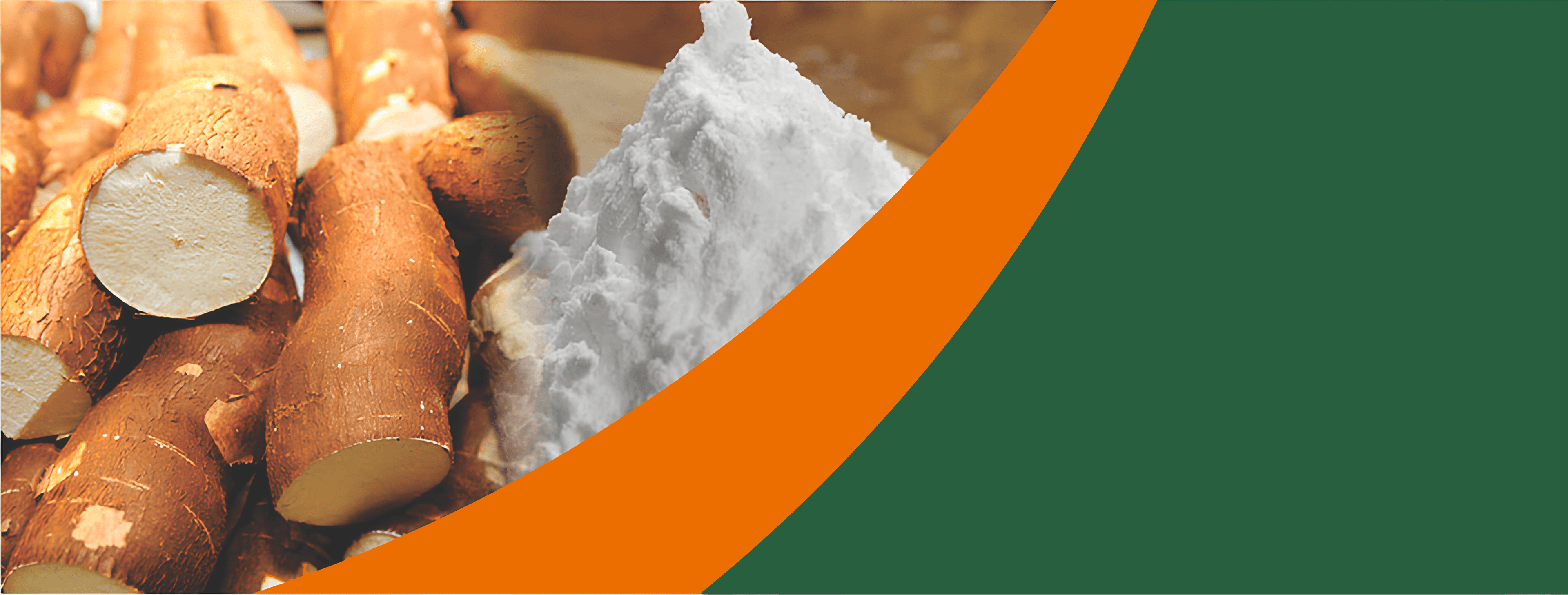 Sodex Banner